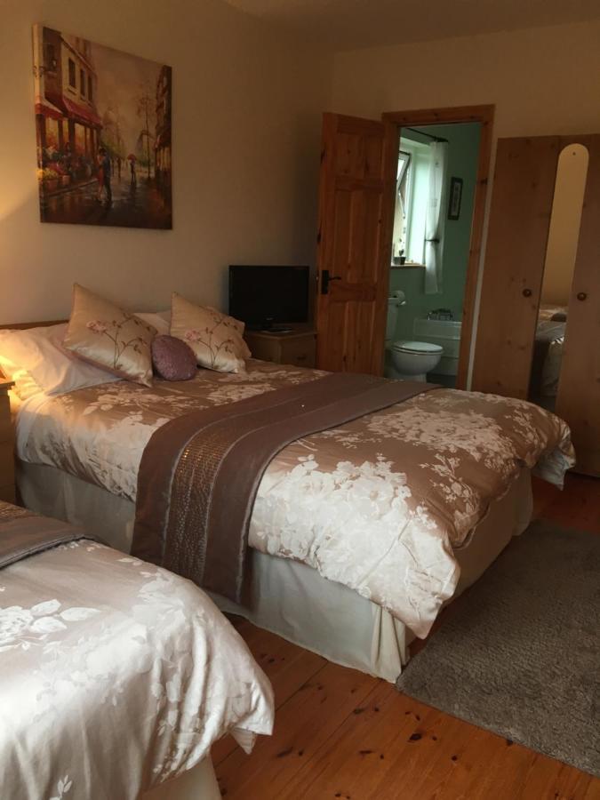 Carrick House B&B 킬리벡스 외부 사진